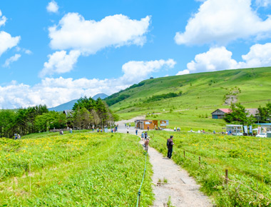 夏の車山高原